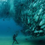 探秘基诺山：2024云南经典徒步线路中的热带雨林奇遇 