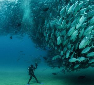 探秘基诺山：2024云南经典徒步线路中的热带雨林奇遇 