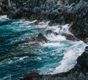真正的基诺山雨林徒步精品线路：一场沉浸式的热带...