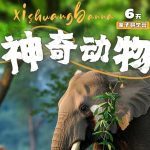 泉州-厦门-鼓浪屿-武夷山-九曲溪双飞五日游