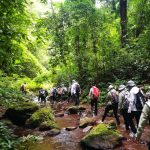 泉州-厦门-鼓浪屿-武夷山-九曲溪双飞五日游