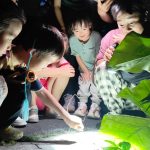 泉州-厦门-鼓浪屿-武夷山-九曲溪双飞五日游