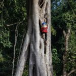 泉州-厦门-鼓浪屿-武夷山-九曲溪双飞五日游
