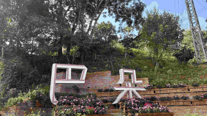 基诺山巴朵村巴朵线徒步