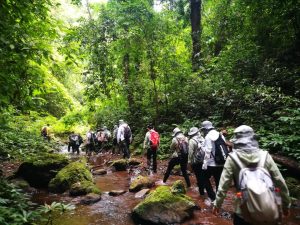 徒步探秘西双版纳基诺山热带雨林：一场沉浸式的自...